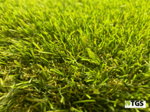 fibre du gazon synthétique