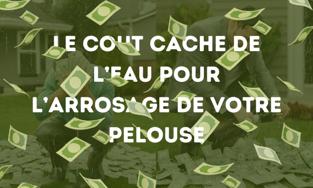 image avec des billet partout et la phrase "LE COUT CACHE DE L’EAU POUR L’ARROSAGE DE VOTRE PELOUSE"