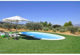 gazon synthétique pour piscine