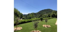 gazon synthétique pour terrasse et tour de piscine