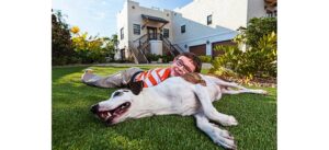 gazon synthétique et animaux de compagnie