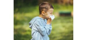 le gazon synthétique provoque t-il des allergies ?